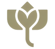 Vinayak Garments